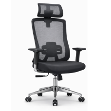 Apex High Back Ergonomic Mesh Office Chair